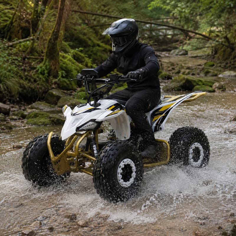 Outdoor Adventure Quad Biking - Dune Buggy Dewasa Kustom ATV Roda