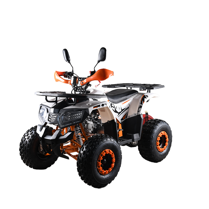 ATV 110cc CE EPA untuk Dewasa, - Outdoor Adventure Quad Biking ulasan dan harga