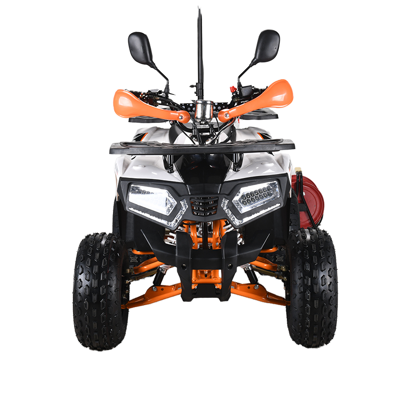 ATV 110cc CE EPA untuk Dewasa, - Outdoor Adventure Quad Biking ulasan dan harga