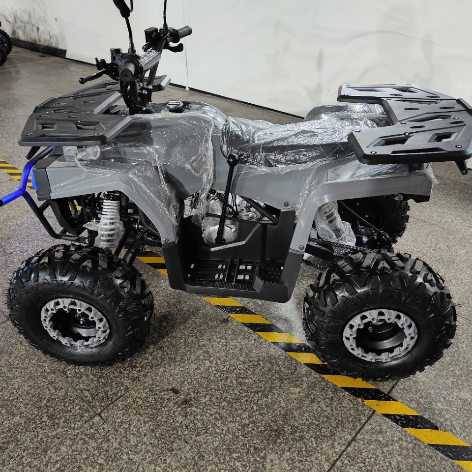 ATV 125cc, Sepeda Motor Quad S - Outdoor Adventure Quad Biking ulasan dan harga