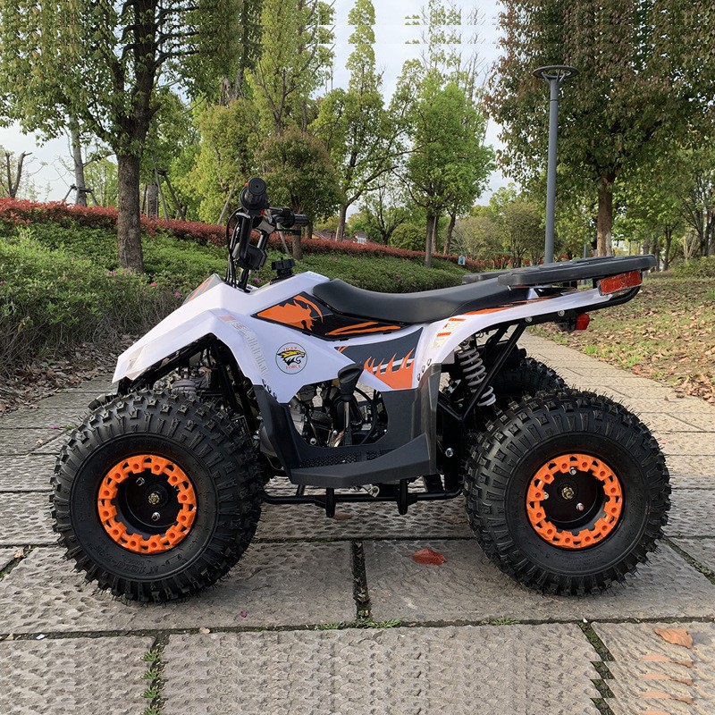 ATV 125CC, Kendaraan Segala Me - Outdoor Adventure Quad Biking ulasan dan harga