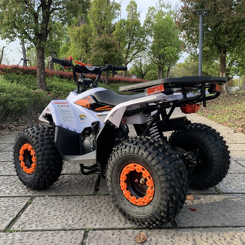 ATV 125CC, Kendaraan Segala Me - Outdoor Adventure Quad Biking ulasan dan harga