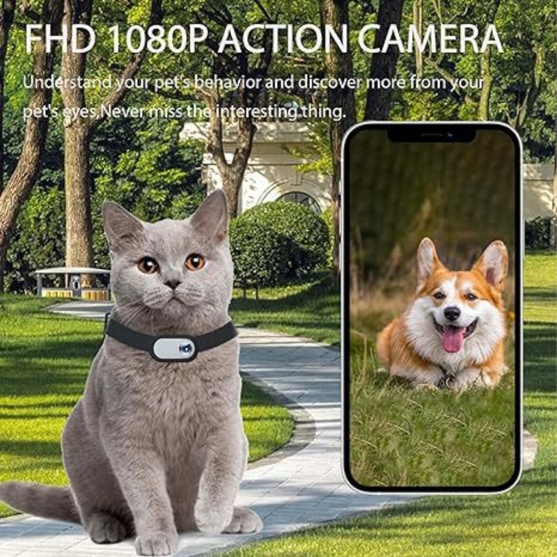 Kamera Kerah Hewan Peliharaan- - Outdoor Adventure Video ulasan dan harga