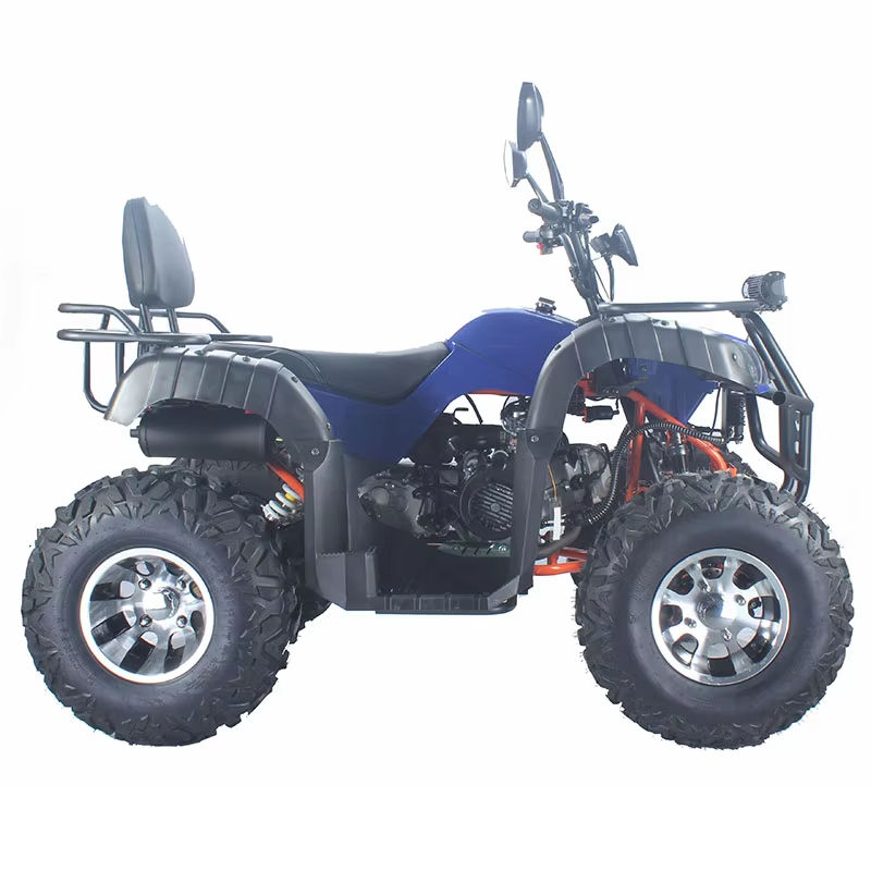 Mobil Buggy Dune Dewasa Kustom - Outdoor Adventure Quad Biking ulasan dan harga
